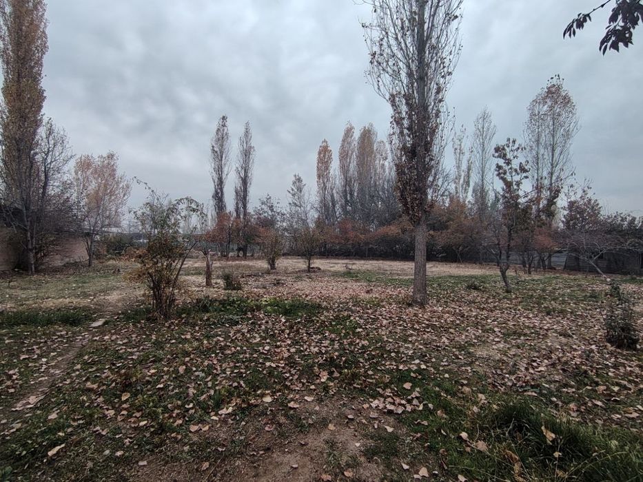 12 sotix yer sotiladi Yuqori Chirchiq Kavardonda