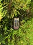 Vape 15k