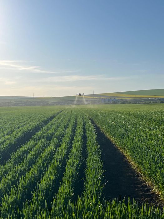 Servicii cu drona agricolă – Stropiri profesionale, rapid și eficient