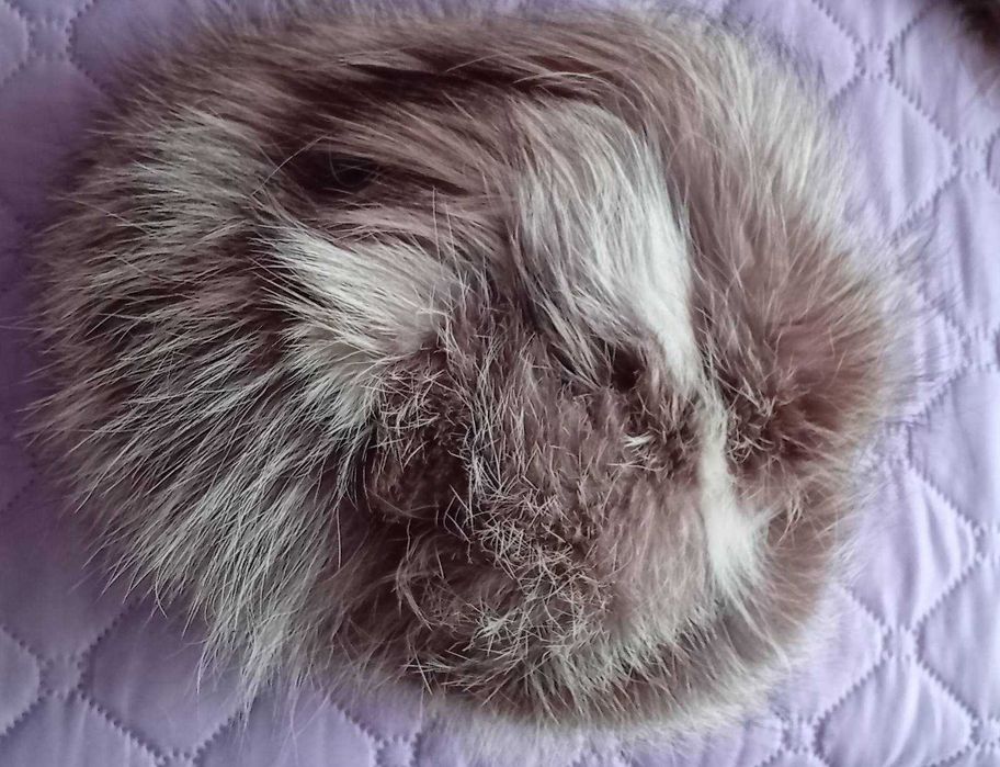 Шапка и яка от сребърна лисица