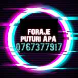 Foraje puțuri apa