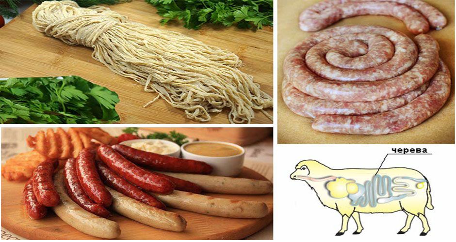 Баранья черева от18 до 28