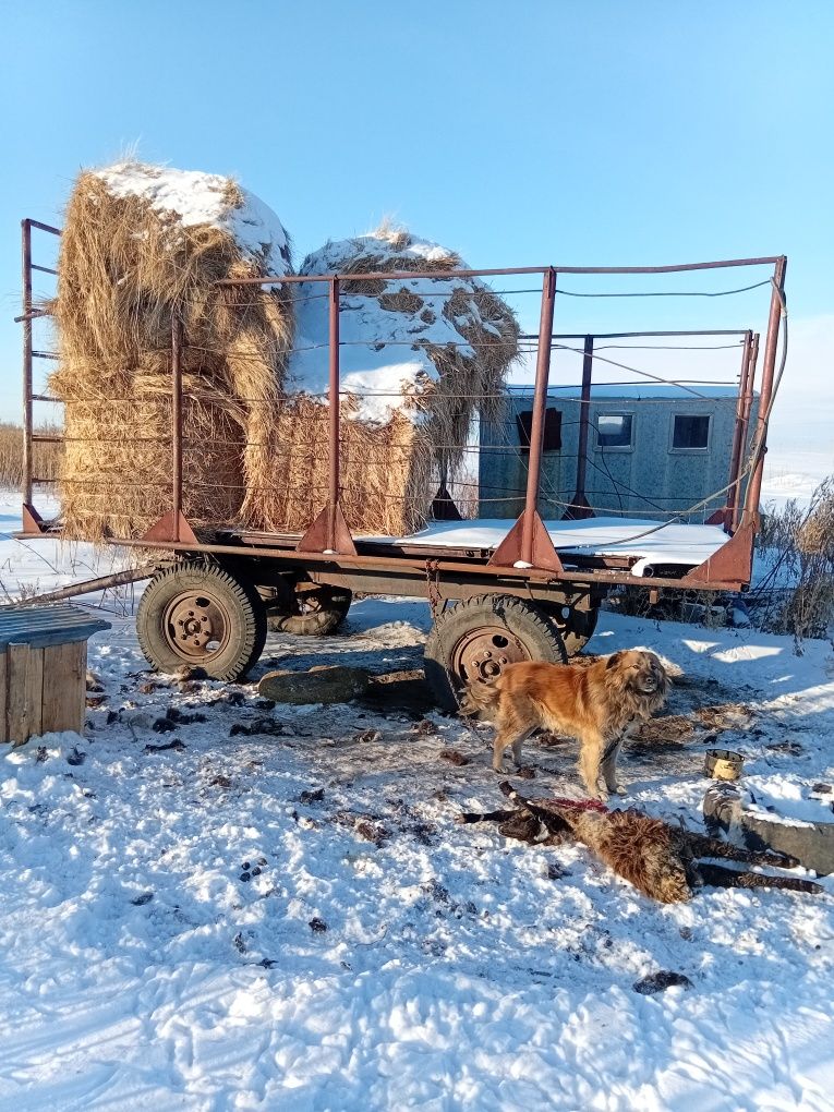 Сеновозка прицеп