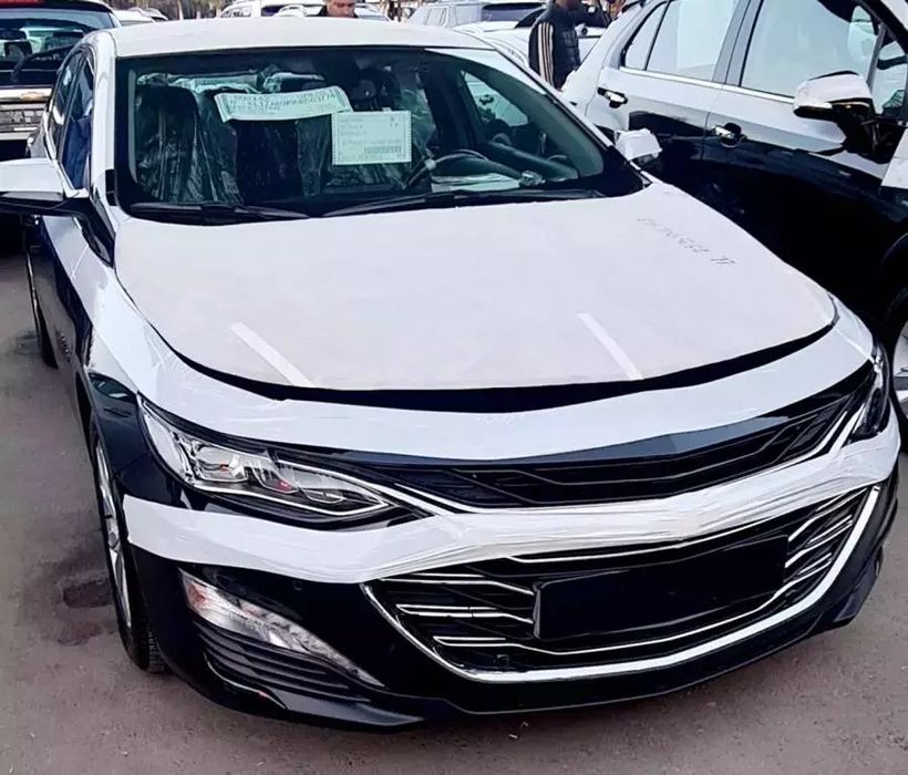 Malibu Premier.      .