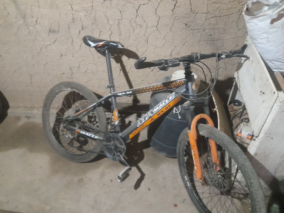 Велик Macle Шымкент