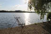 [Vand Urgent] Rod Pod Fox Ranger MK2 [in stare perfecta]