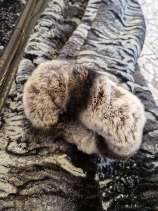 Blana de piele cu doua fete si blana de Chinchilla