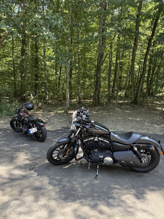 Harley-Davidson Sportster 883 Iron 2011