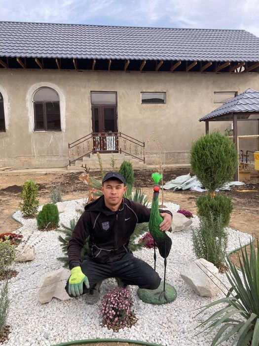 Газон.Автополив.Озеленение.Ландшафтный дизайн.Садовник.Саженцы