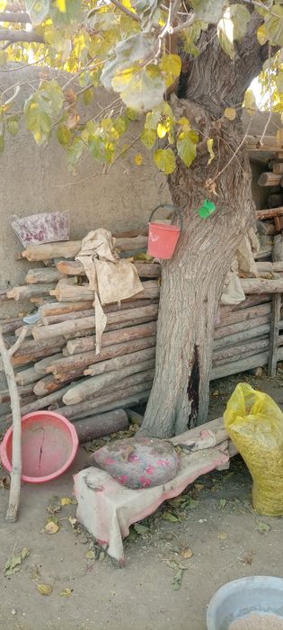 Taxta eshik derazalar va taxtalar sotiladi