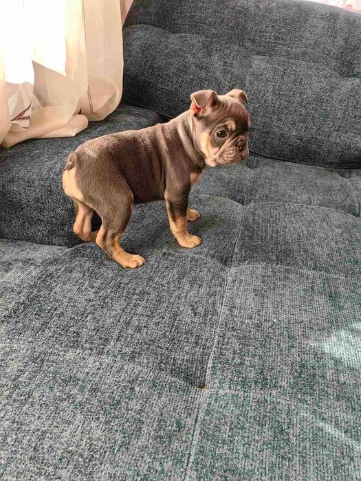 Две прекрасни момиченца