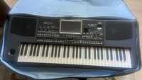 Korg pa 900 -  192MB