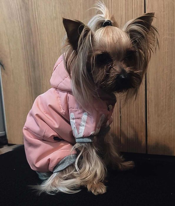 Ексклюзивна дрехи за малки кучета