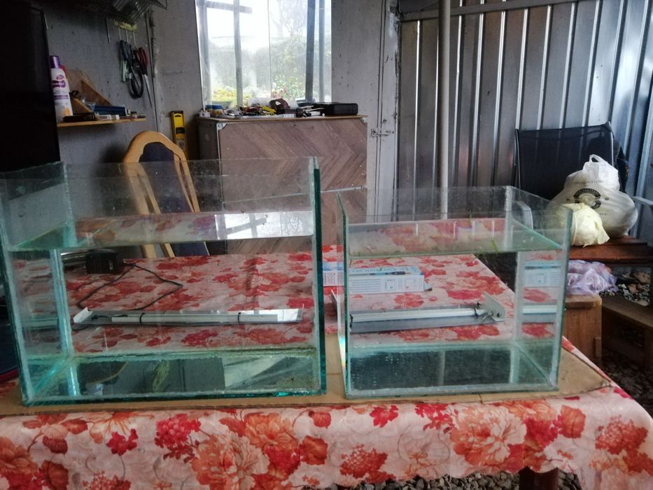 Acvariu de 15 sau 30 litri