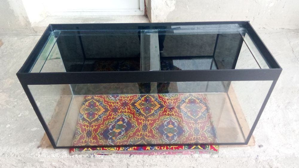 200 litirlik akvarium sotiladi