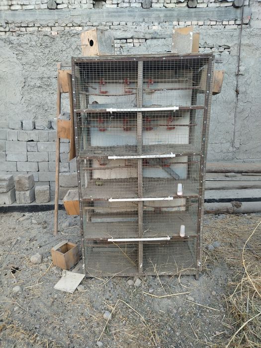 Валер сотилади...