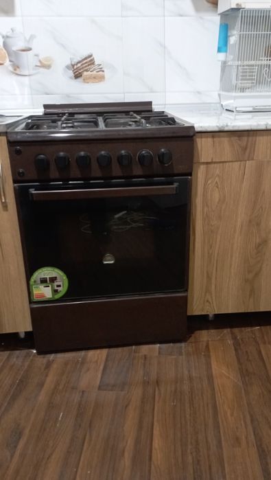 Газ плита Брест ваАртел Апитито модели.