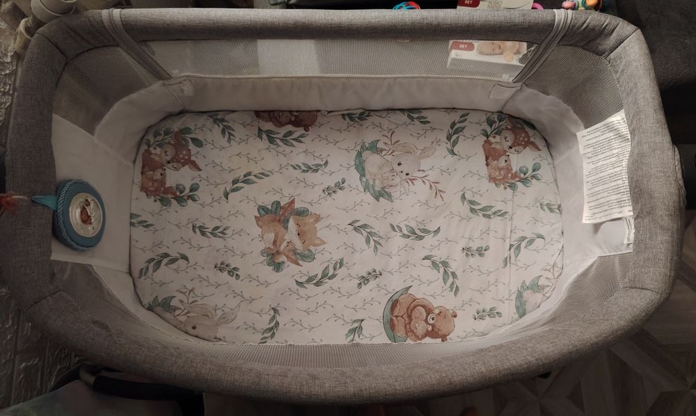 Patut copii cosleeper