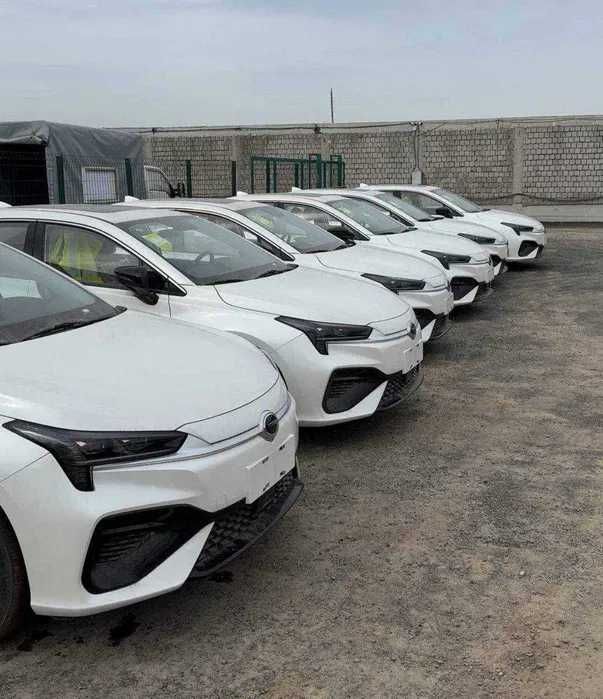 Gac aion s max elektor