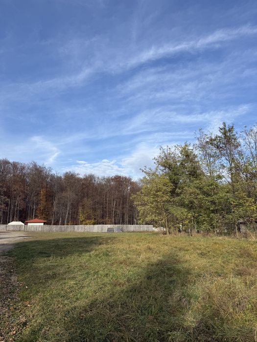 Vand teren in Dragomirna 2.002 mp