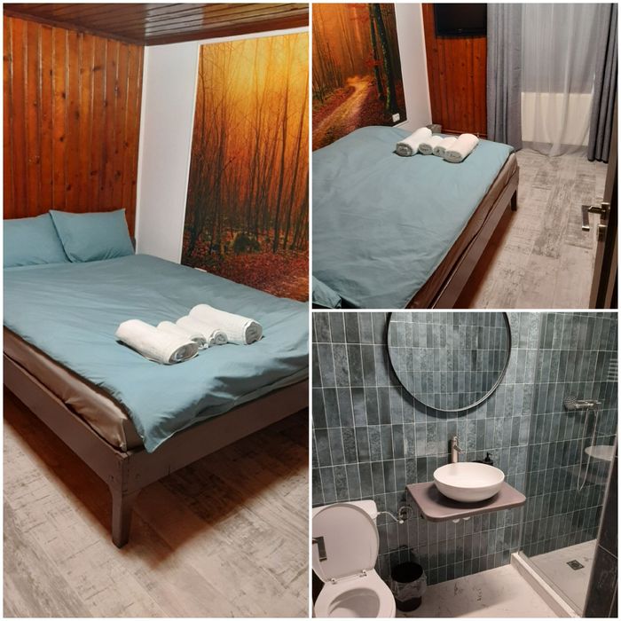 Cazare la munte,Bușteni. 250 lei