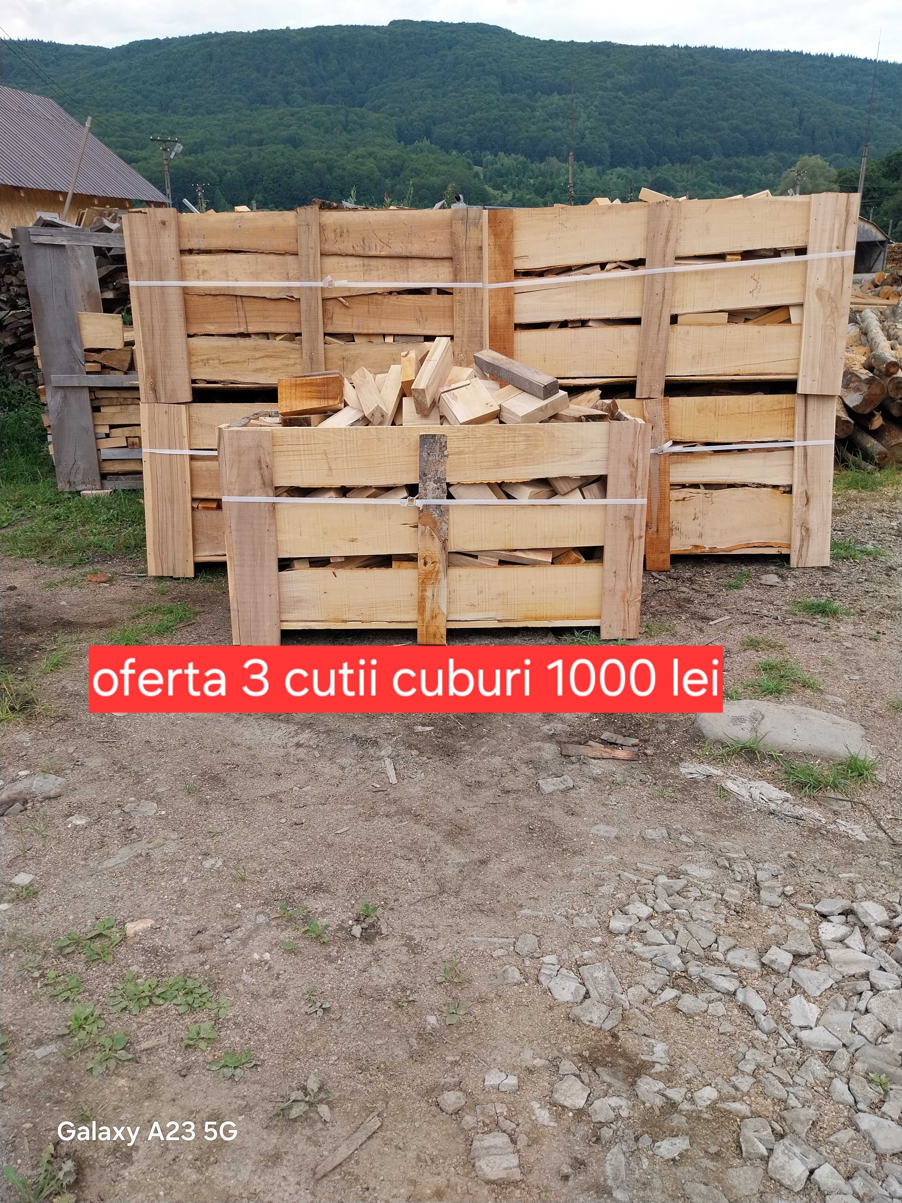 Cel mai mic preț Lemne de foc 220 lei metru ster fag uscat