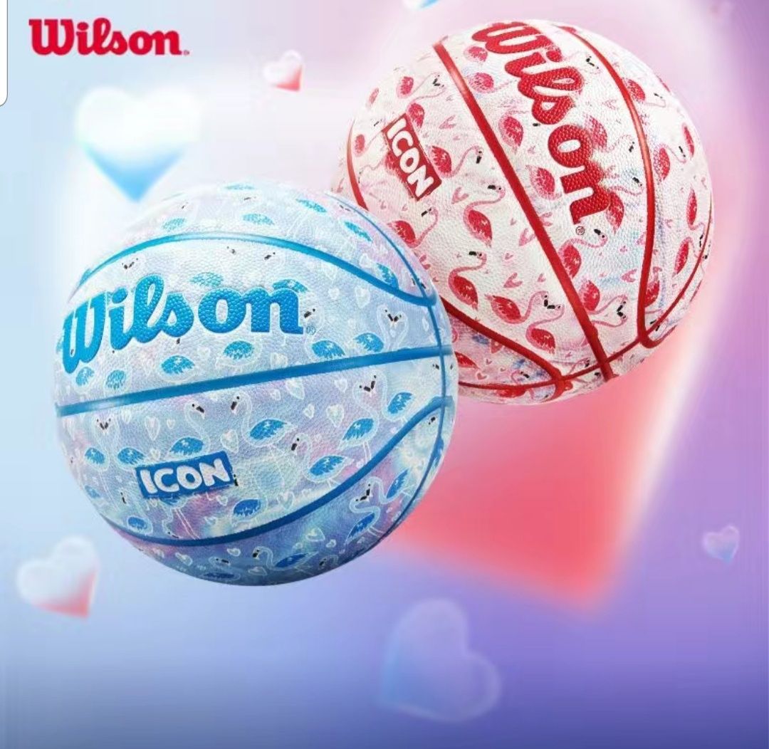 Баскетбольные мячи Wilson