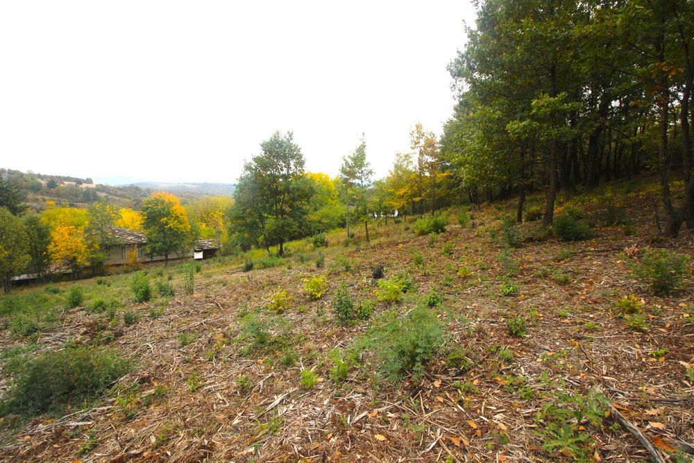 Парцел в регулация в с. Костенковци, общ. Габрово