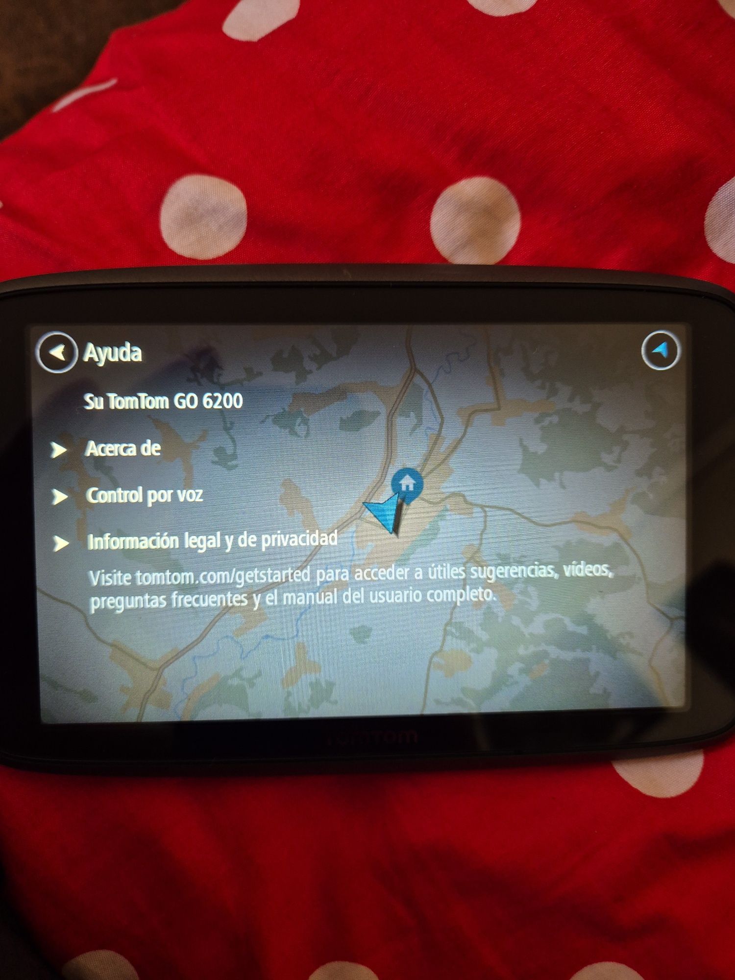 GPS TomTom, profesional