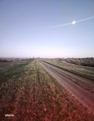 Teren extravilan cota parte 1/5, Golaiesti, ID: R2838330