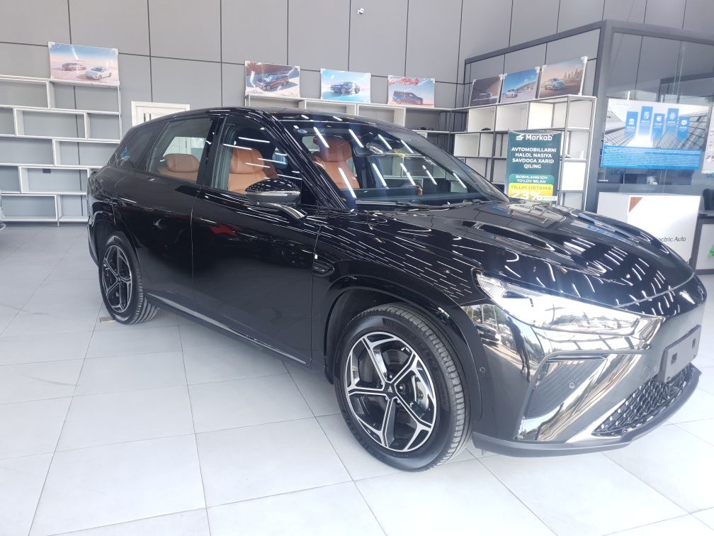Neta L. Hybrid 2024.