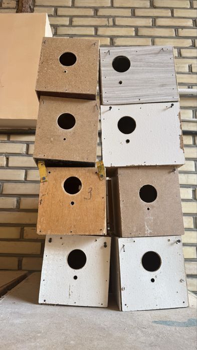 Qushlar uychasi tezda sotiladi