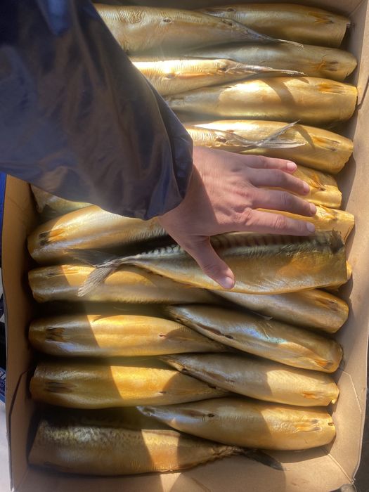 Копченая скумбрия норвегия элит большая