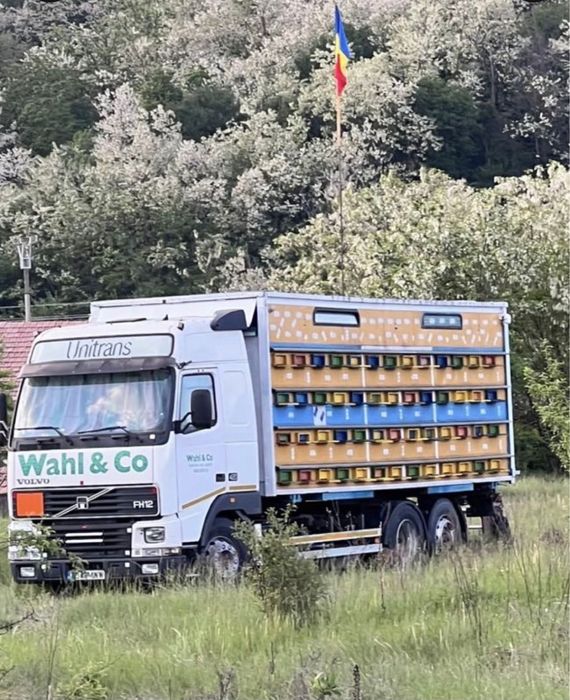 Vand Camion Volvo omologat Apicol BDF