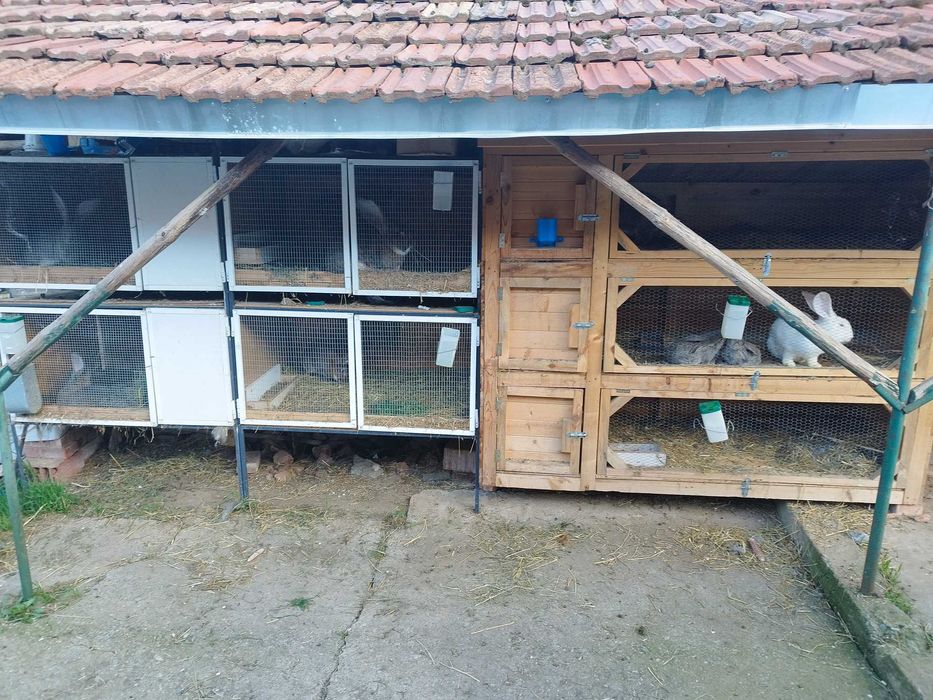 Зайчарници клетки за зайци