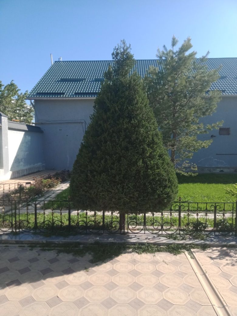 Обрезка деревьев и кустарников