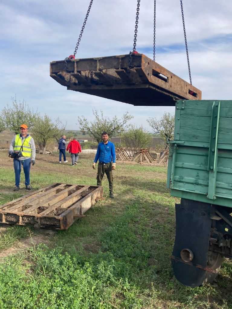 Servicii transport / relocări utilaje, camioane, stivuitoare