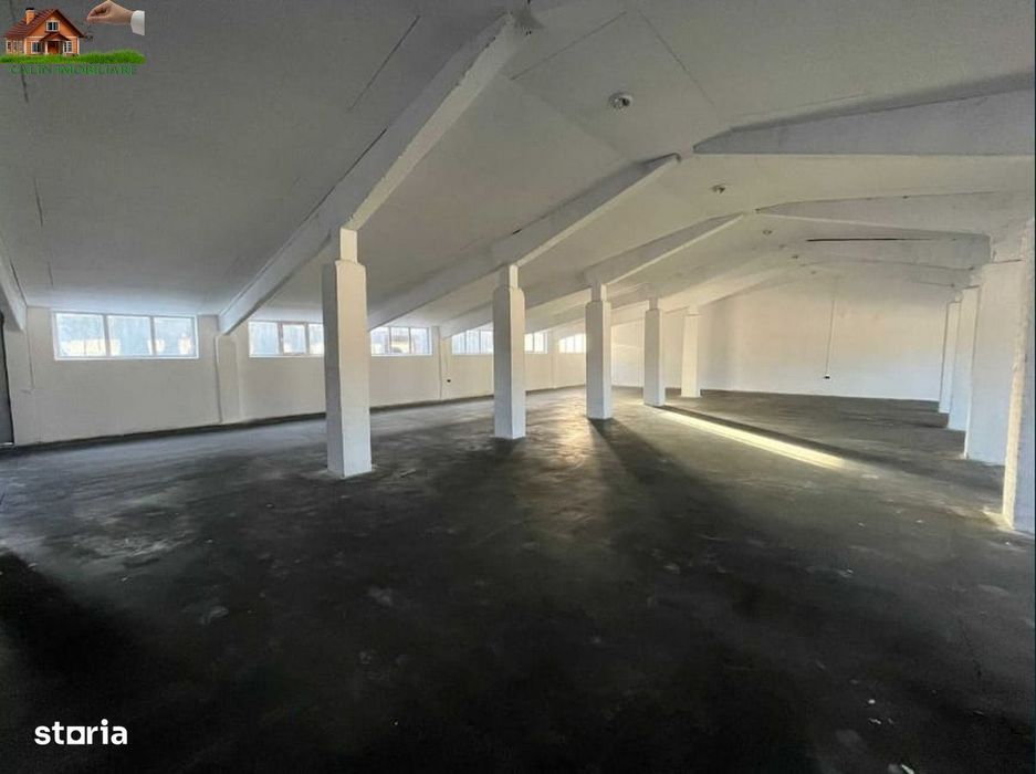 DE INCHIRIAT HALA 160mp, 220mp, 350mp TOMESTI Iasi 4 euro/mp