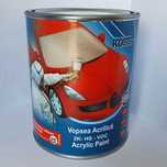 Vopsea auto R.M. 2k cod: LY3D   - VW/ AUDI + intaritor