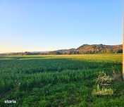 Teren intravilan de vanzare 20771m (2 HA) in Gheghie - Bihor