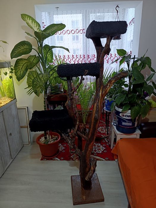 Ansamblu de joacă pentru pisici.