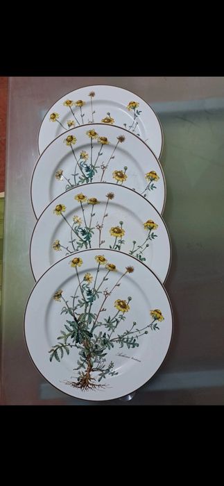 Farfurii Villeroy & Boch