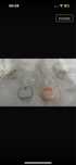 Pompe san electrice hands free