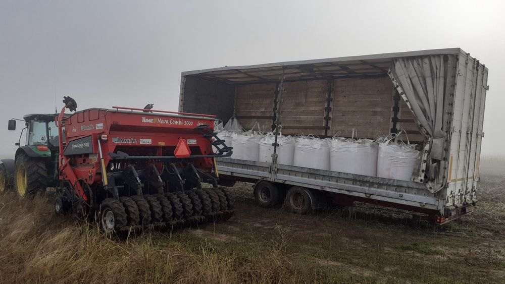 Servicii fitosanitare erbicidare tratamente plante fertilizare prasit