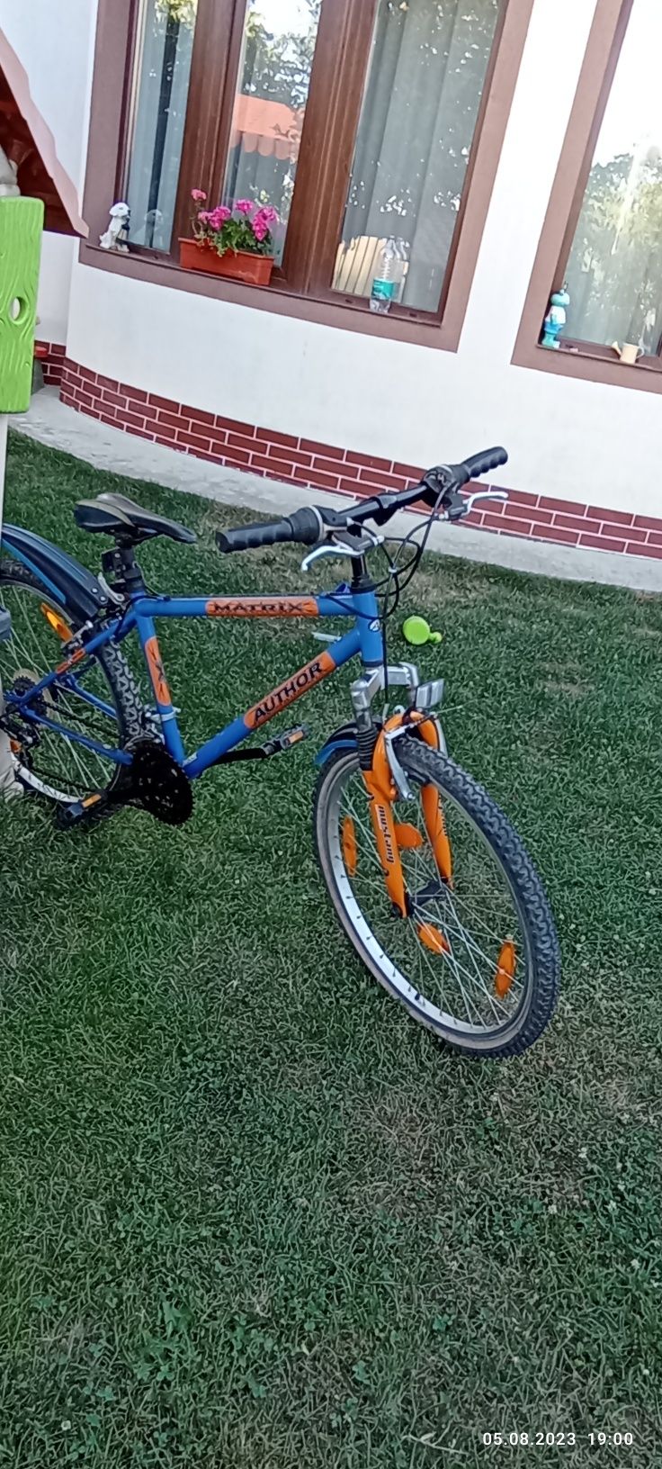 Bicicleta pentru copii