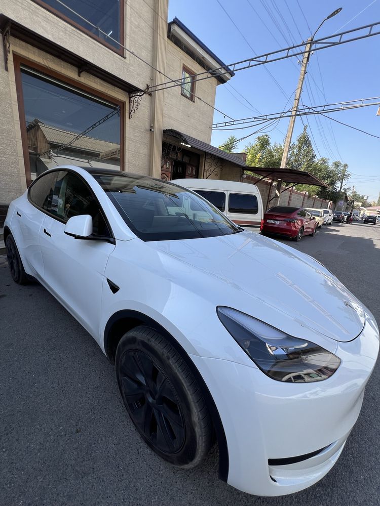 Tesla model y RWD