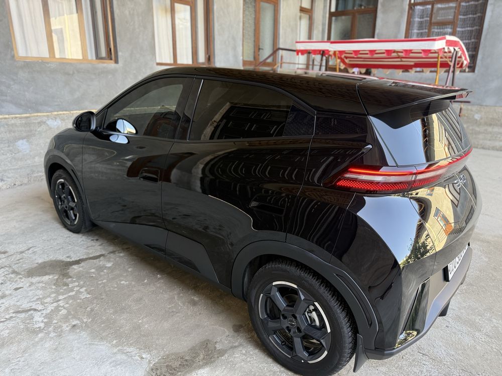 BYD Seagull 2024 ideal