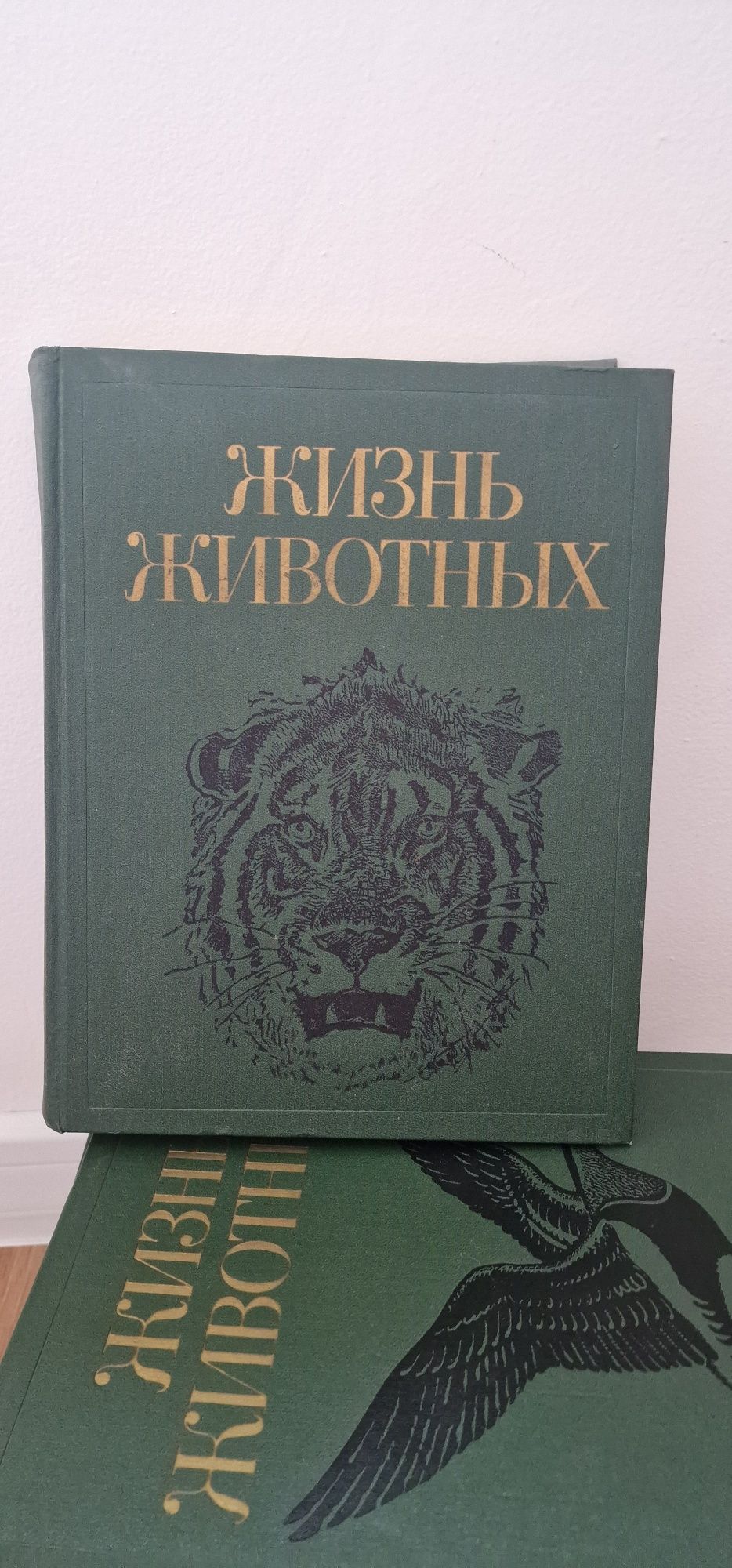 Живот на животните