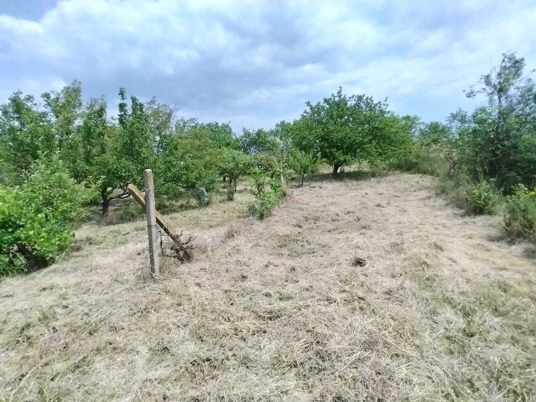Парцел вилна зона с.Осеново/Аксаковска общ./