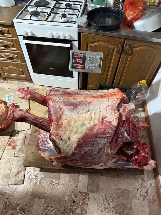 Согым жабагы бармак казы мощные